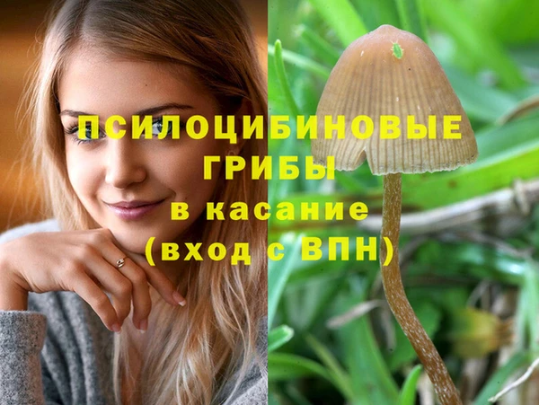винт Белокуриха