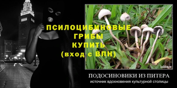 винт Белокуриха